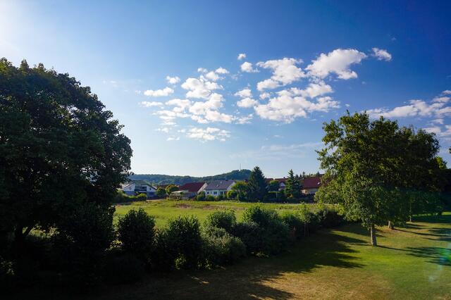 Foto: Marvin Scheuring