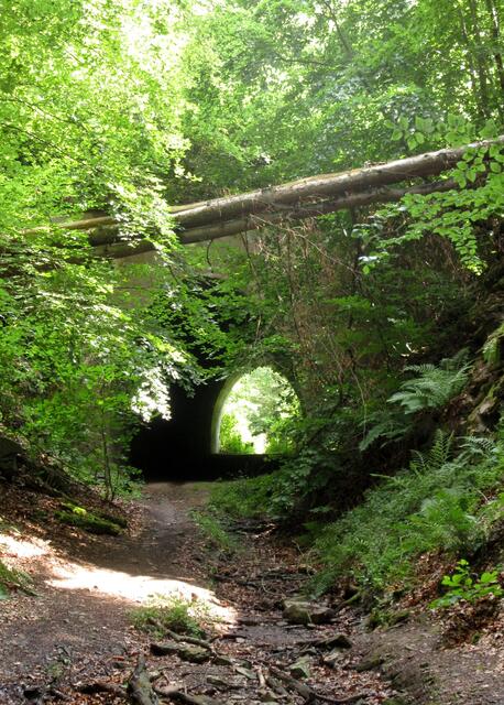Danach ging es durch den Tunnel wieder zurück in den Heilbronner Wald