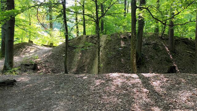 Eine schöne Runde über die Eichbottseen und den Trimm-Dich-Pfad, über den teilweise auch er Heuchelberg-Trail führte, brachte die Gruppe zur Frankenschanze am Sonntag, 7.2.2023