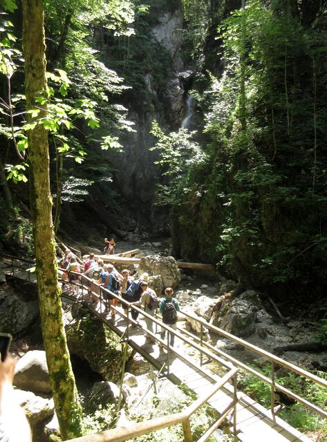 Exkursionsziel des Tages, Wasserfall. 