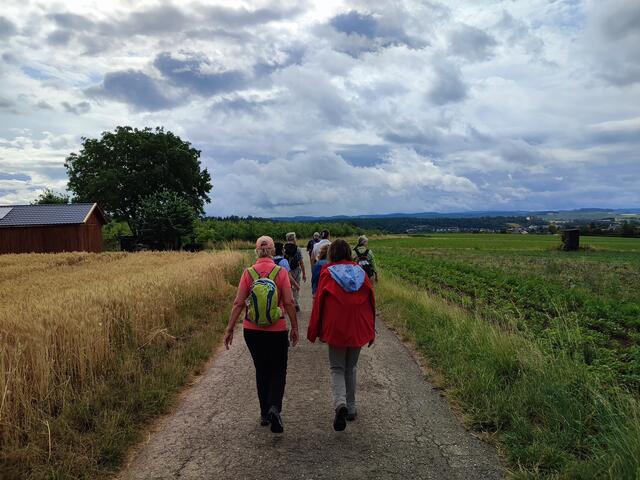 Vom Gaffenberg Richtung Donnbronn mit phantastischer Aussicht auf die Burg Stettenfels | Foto: Aurelia Kling