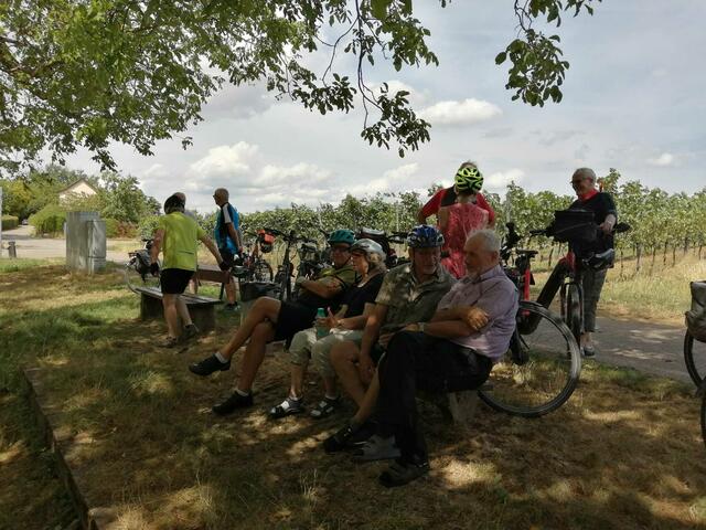 Letzte Rast am Nussbaum (Horkheim)