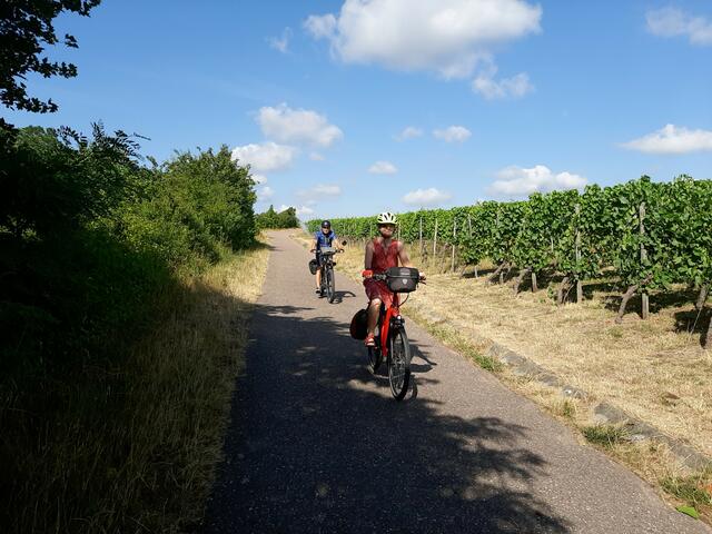 den Weinbergen entlang