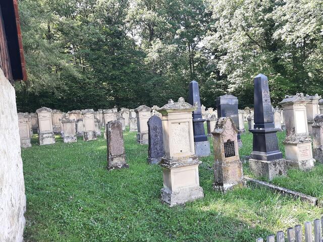 Eine Etappe auf dem Pilgerweg: Jüdischer Friedhof  | Foto: Martin Borgmeyer