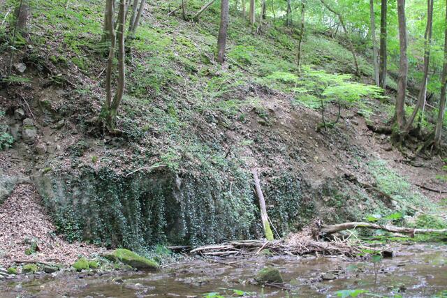 Gronach | Foto: Ralf Röser