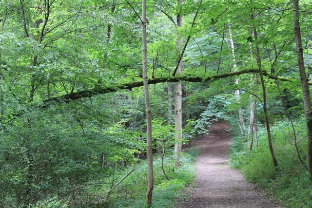 Hammerwege | Foto: Ralf Röser