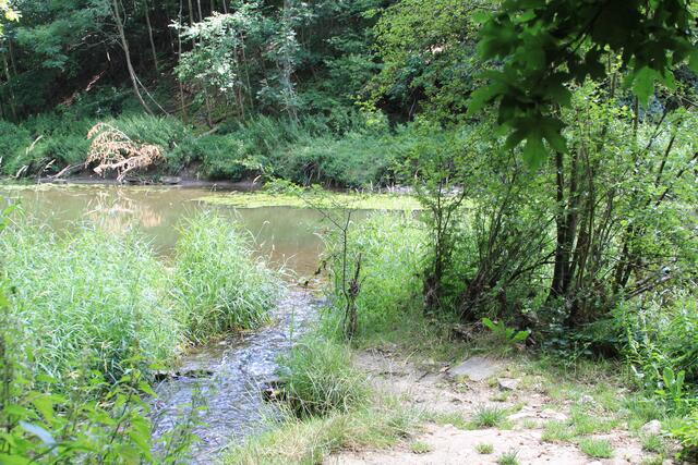 hier fließt die Gronach in die Jagst | Foto: Ralf Röser