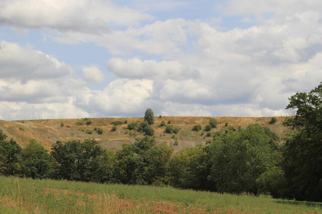 und wieder oben, nun geht es wieder zurück | Foto: Ralf Röser