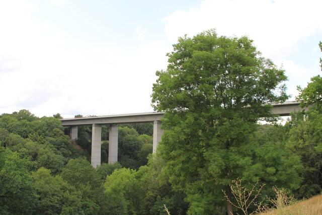 cool | Foto: Ralf Röser