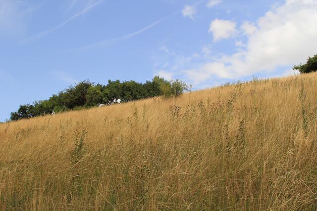 oben angekommen | Foto: Ralf Röser