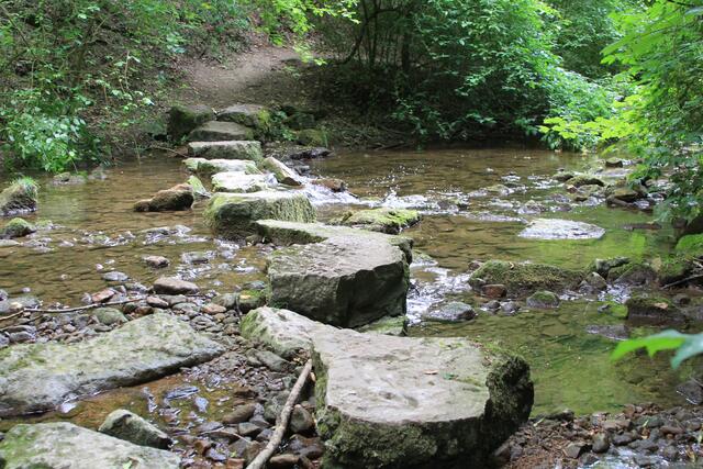 da rüber | Foto: Ralf Röser