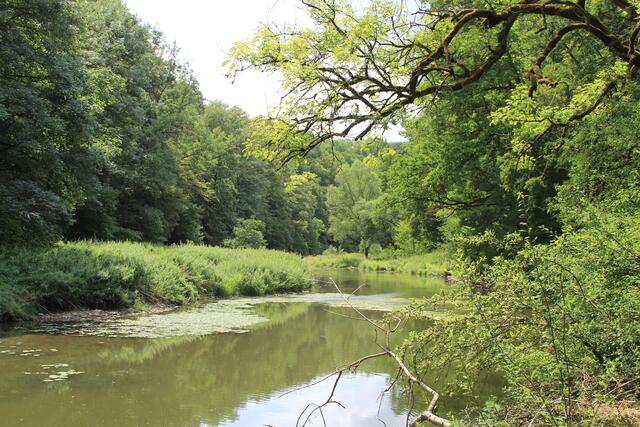 Jagst | Foto: Ralf Röser