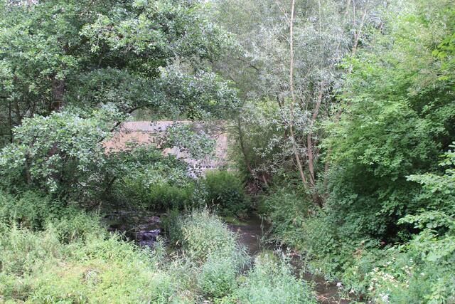 Gronach | Foto: Ralf Röser