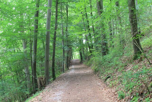 und weiter | Foto: Ralf Röser