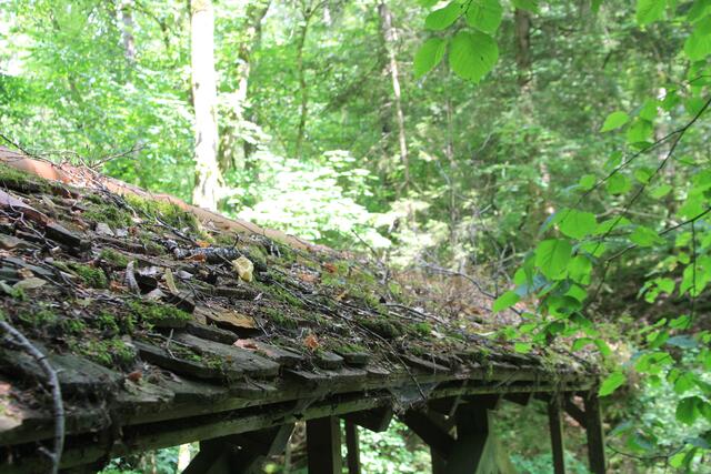 das Dächle hat schon ein paar Jährchen auf dem Buckel | Foto: Ralf Röser