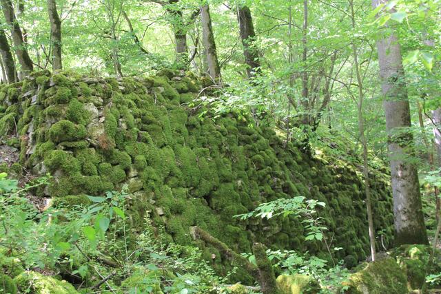 so schön | Foto: Ralf Röser