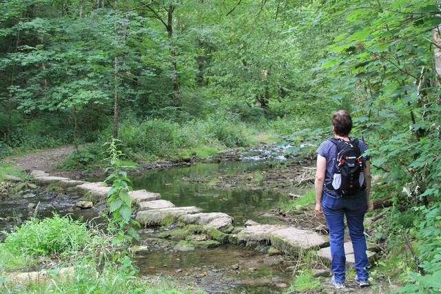 Schatzi😍😍 | Foto: Ralf Röser