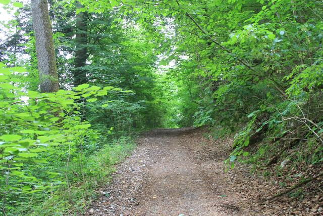 zuerst mal nach oben, später laufen wir unten weiter | Foto: Ralf Röser