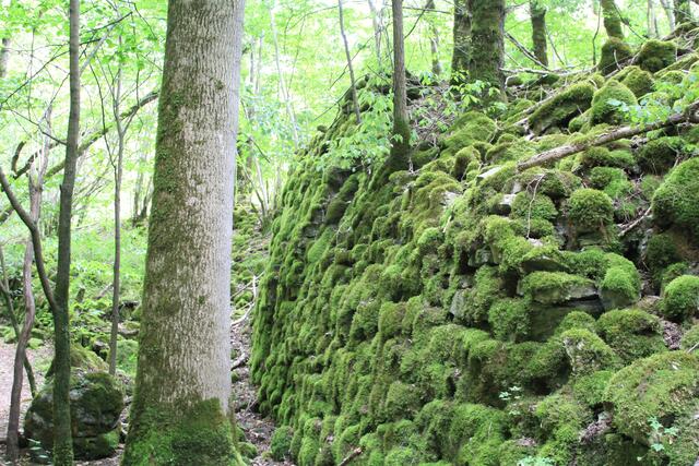 Wahnsinn  | Foto: Ralf Röser