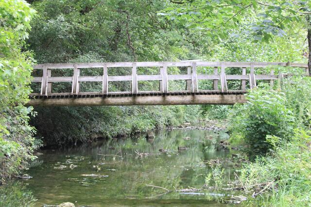 oder da | Foto: Ralf Röser