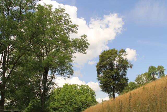 toll | Foto: Ralf Röser