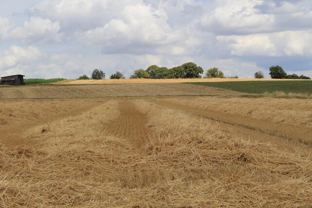 Stroh fertig zum abholen | Foto: Ralf Röser