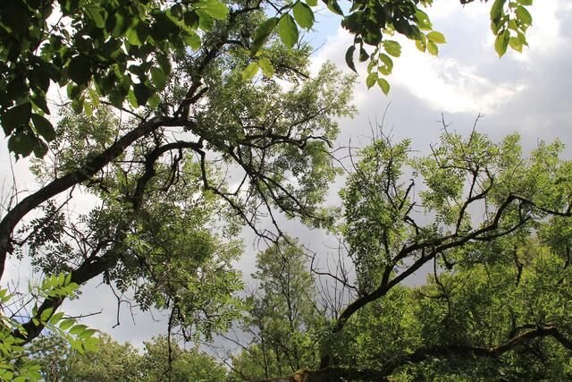 oben | Foto: Ralf Röser