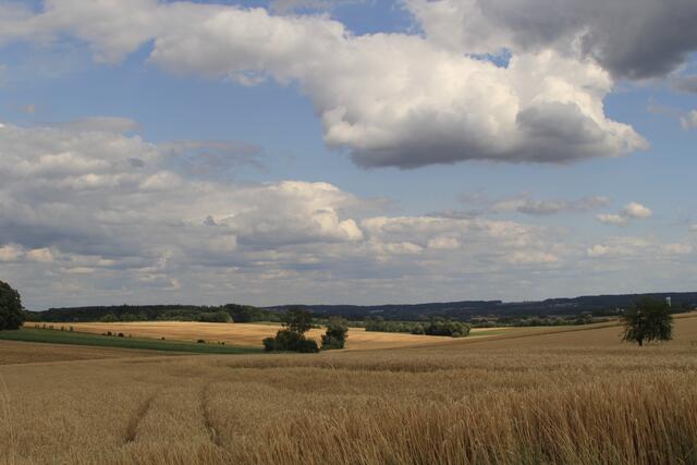tolle Landschaft | Foto: Ralf Röser