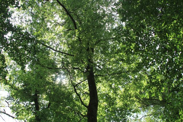 oben | Foto: Ralf Röser