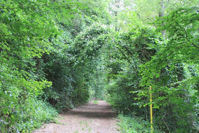 und wieder runter | Foto: Ralf Röser