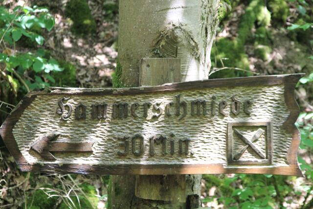 Info | Foto: Ralf Röser