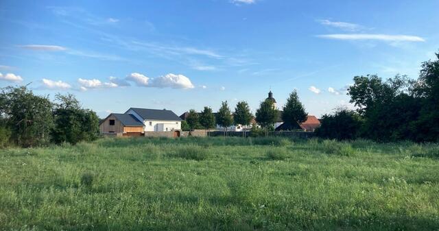 Hier könnte sich bald ein Friedwald befinden.
Bergauf nach Duttenberg wird ein Lösungsvorschlag für ein Problem vorgestellt, welches von den meisten Menschen eher verdrängt wird. In der nordöstlichen Verlängerung des Friedhofs befindet sich im Besitz der Stadt ein Gelände, welches sich hervorragend für einen Friedwald eignen würde. Immer mehr Menschen entscheiden sich für diese Art der Bestattung, für die es in Bad Friedrichshall noch keine Option gibt. | Foto: Sibylle Riegger-Gnamm und Gerhard Huber