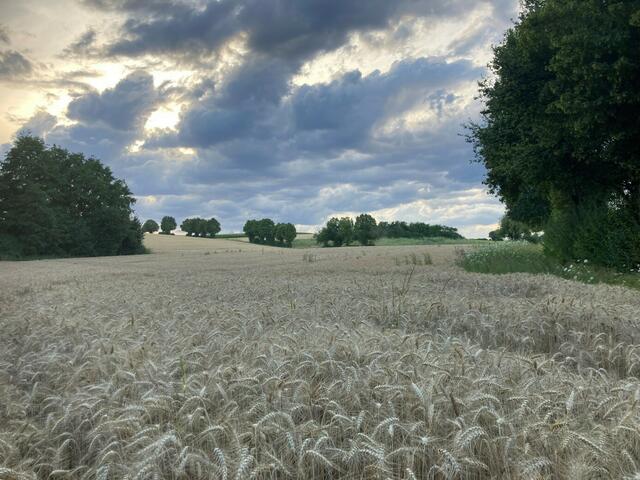 Am Weidelbach.
Das ist unsere Heimat, lasst uns besser darauf aufpassen.
Nochmals  vielen Dank an Helmut Haaf für die sachkundige Führung und die Abschlussdiskussion. | Foto: Sibylle Riegger-Gnamm und Gerhard Huber