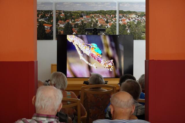 Auf dem Bildschirm ist ein Eisvogel zu erkennen. | Foto: Uschi Dugulin