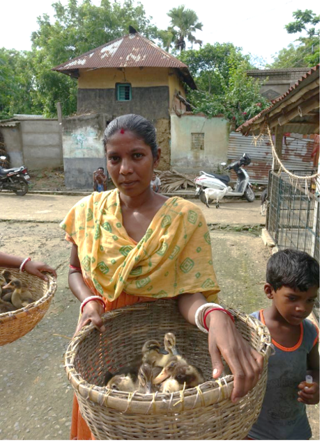 Foto: Bilder von Shining Eyes