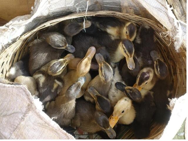 Foto: Bilder von Shining Eyes