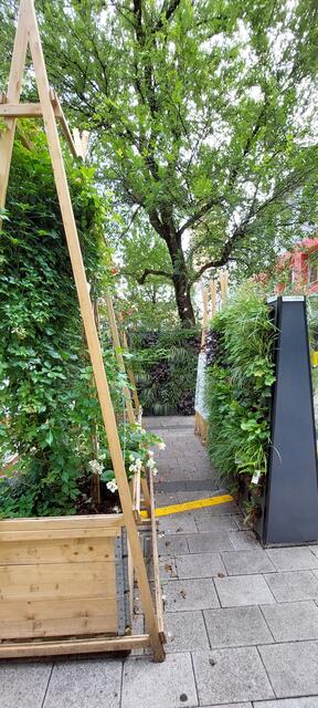 Foto: Heidrun Rosenberger 