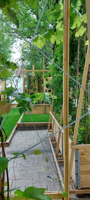 Foto: Heidrun Rosenberger 