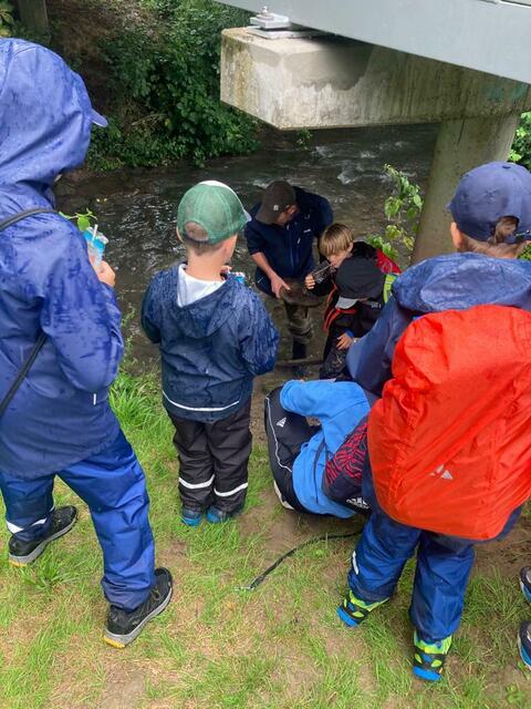 Foto: Fischereiverein Leingarten 