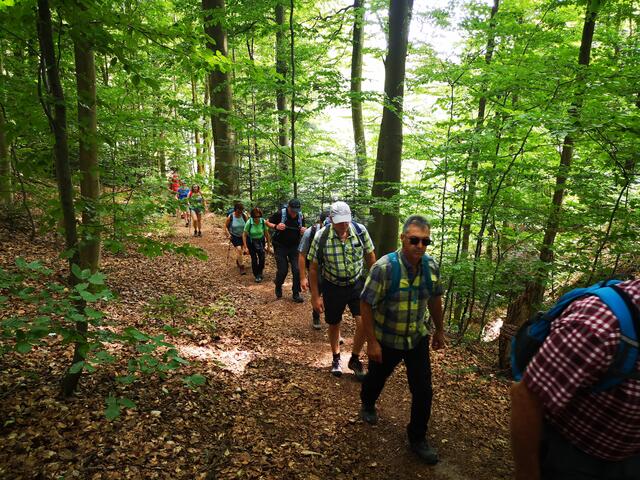 Waldpfad bei Kallenberg | Foto: Jürgen Pachwald