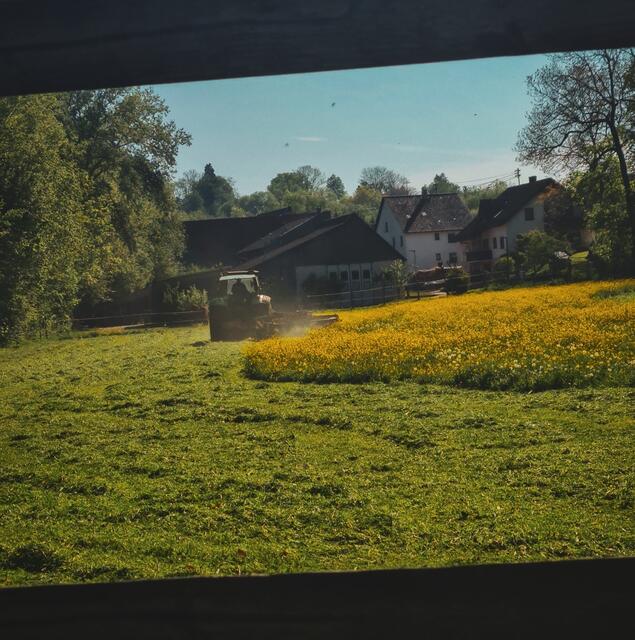 Öhringen Cappel  | Foto: Muhammad Khattab