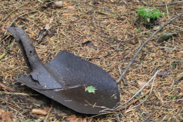 die wurde wohl vergessen | Foto: Ralf Röser
