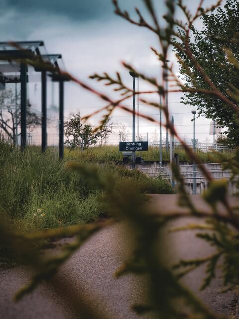 Öhringen West  | Foto: Muhammad Khattab