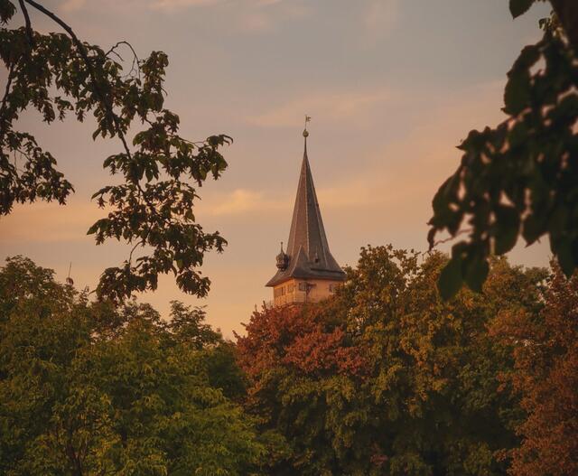 Öhringen Schloss vom Hofgarten  | Foto: Muhammad Khattab