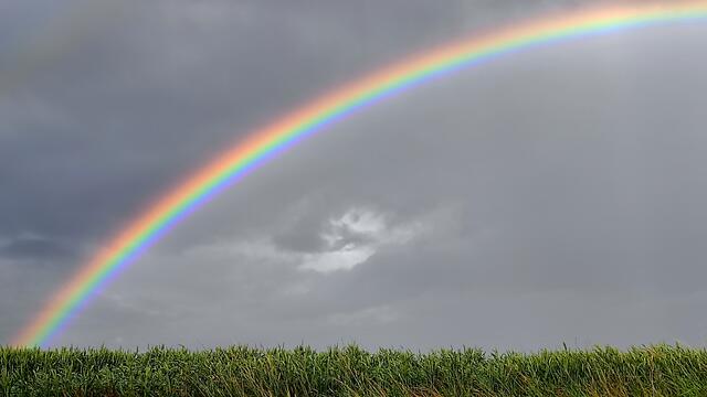 Regenbogen 🌈 | Foto: Kai Weyreter