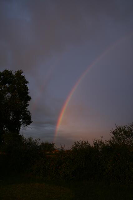 Regenbögen sind immer aufs Neue faszinierend | Foto: Fototeam des Zeltlagers