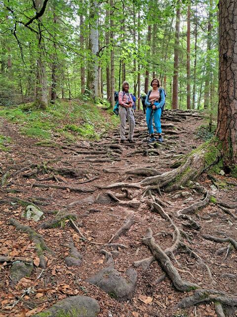Auf einem Wurzelweg hoch zum 1349m hohen Spießhorn. | Foto: Isolde Reitz