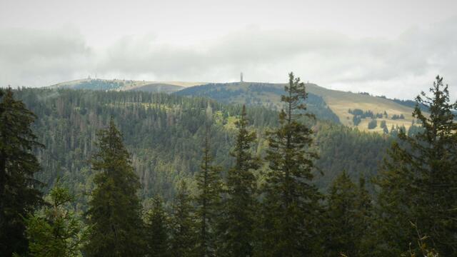 Blick vom Spießhorn zum Feldberg. | Foto: Isolde Reitz