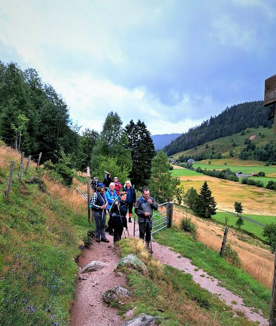 Aufstieg von Menzenschwand entlang des Krunkelbachtales hoch zum Geißenpfad. | Foto: Isolde Reitz
