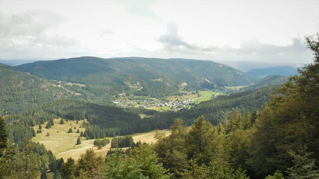 Spießhornblick ins Menzenschwander Tal bis nach St. Blasien und Bernau. | Foto: Isolde Reitz